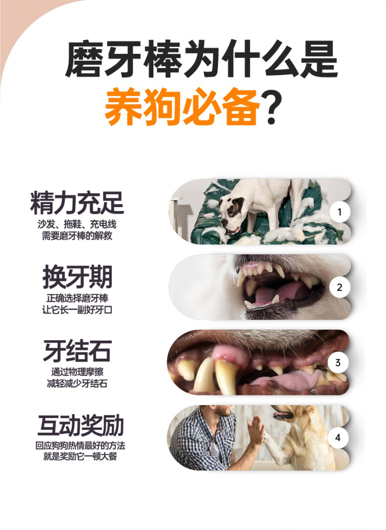 未标题-1_03.jpg