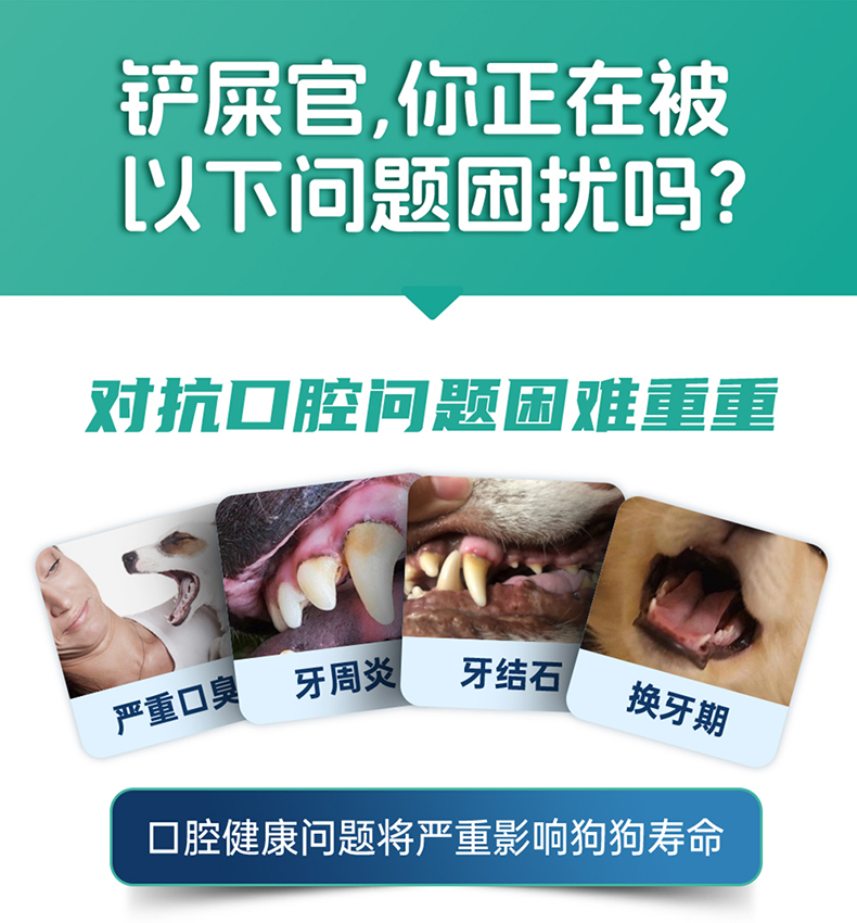 牙膏牙刷详情页 (2).jpg