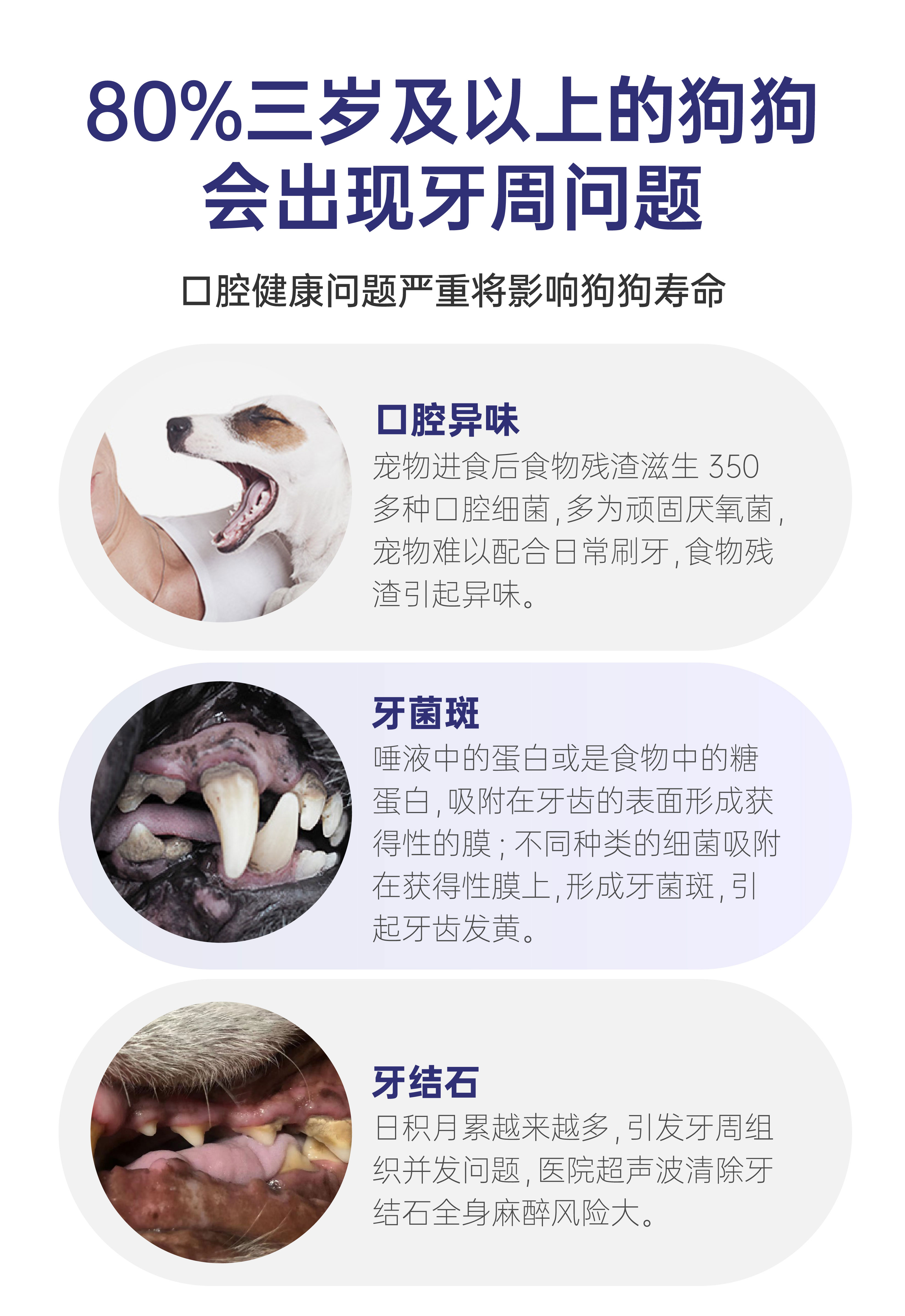 蓝莓味牙膏牙刷罐装-(13)_02.jpg