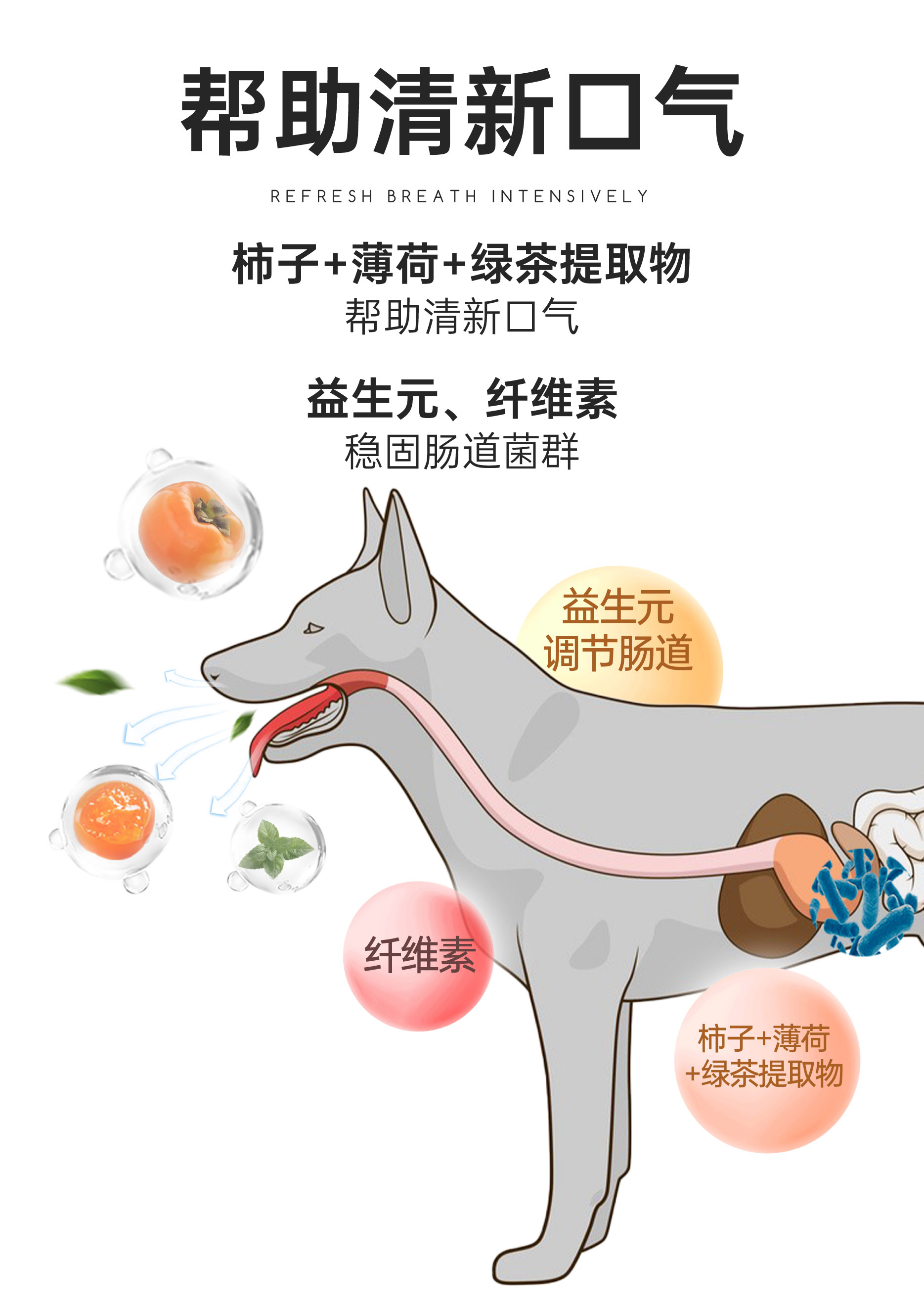 详情页-(2)_04.jpg