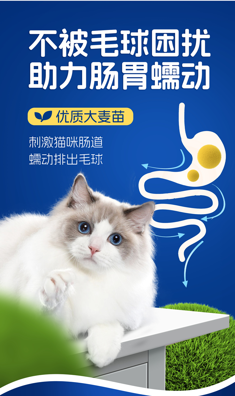 猫草粒-(4).png
