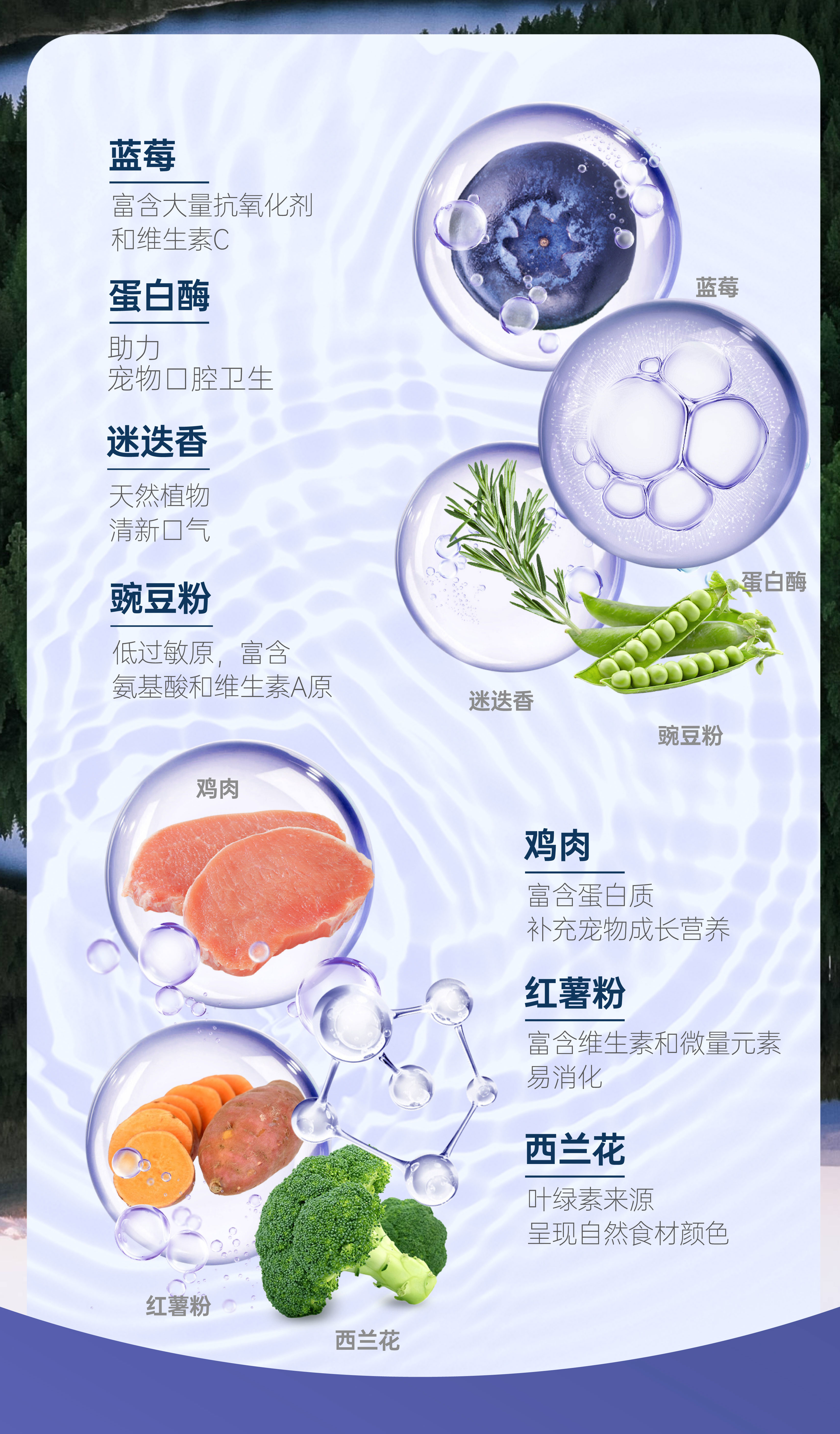 蓝莓味牙膏牙刷罐装-(13)_02.jpg